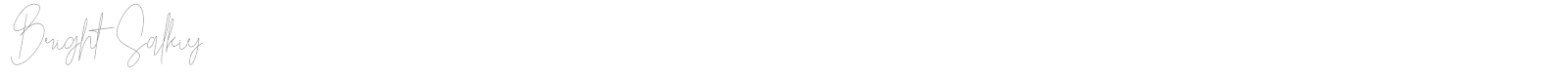 Bright Salkiy font preview